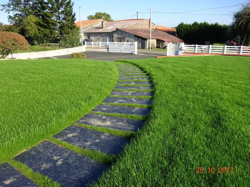 Allée de jardin en ardoise